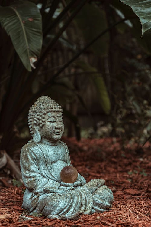 The Transformative Power of Metta Meditation